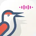 Link to Echo AI